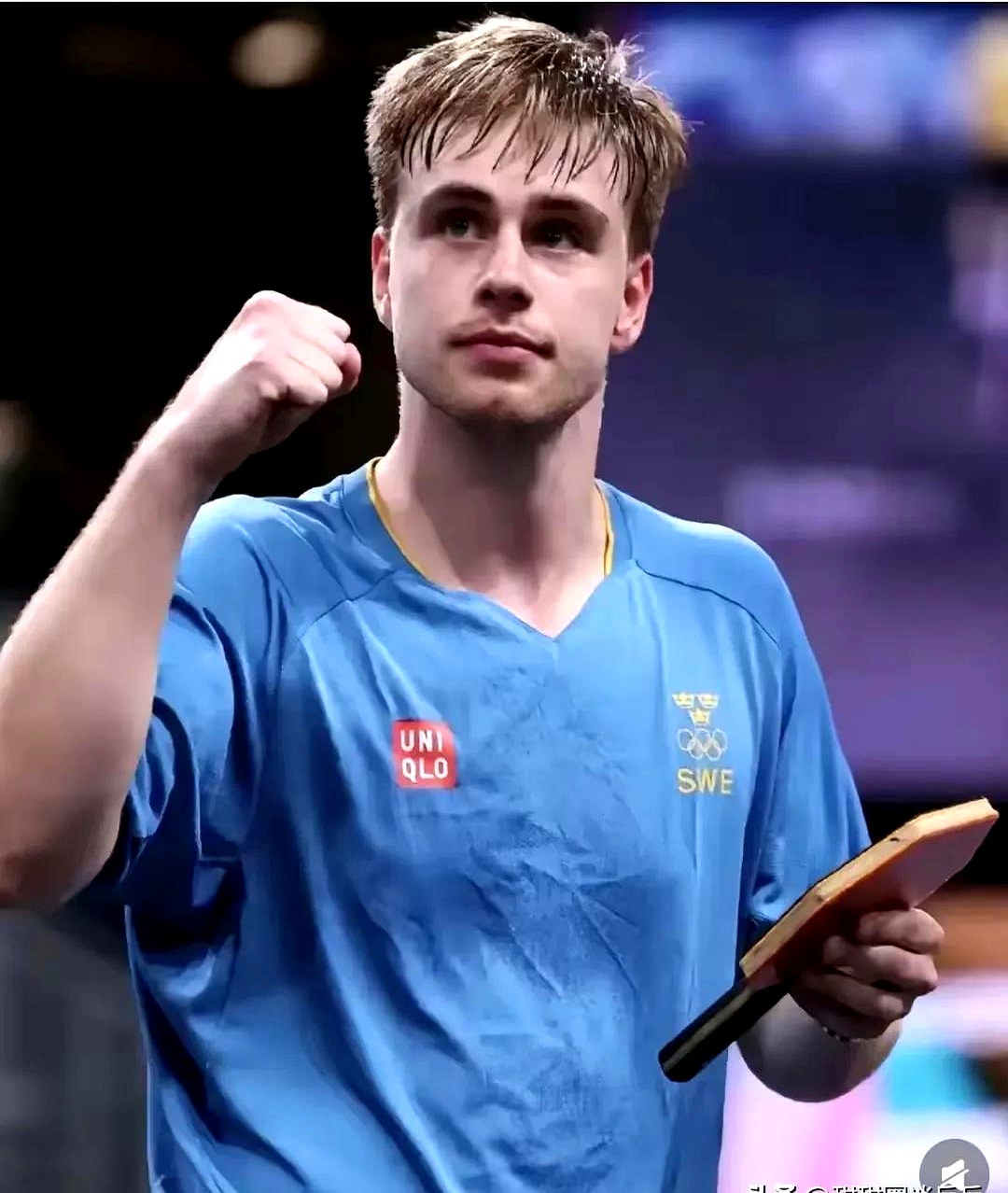 瑞典队备战重要国际比赛，实力不容忽视